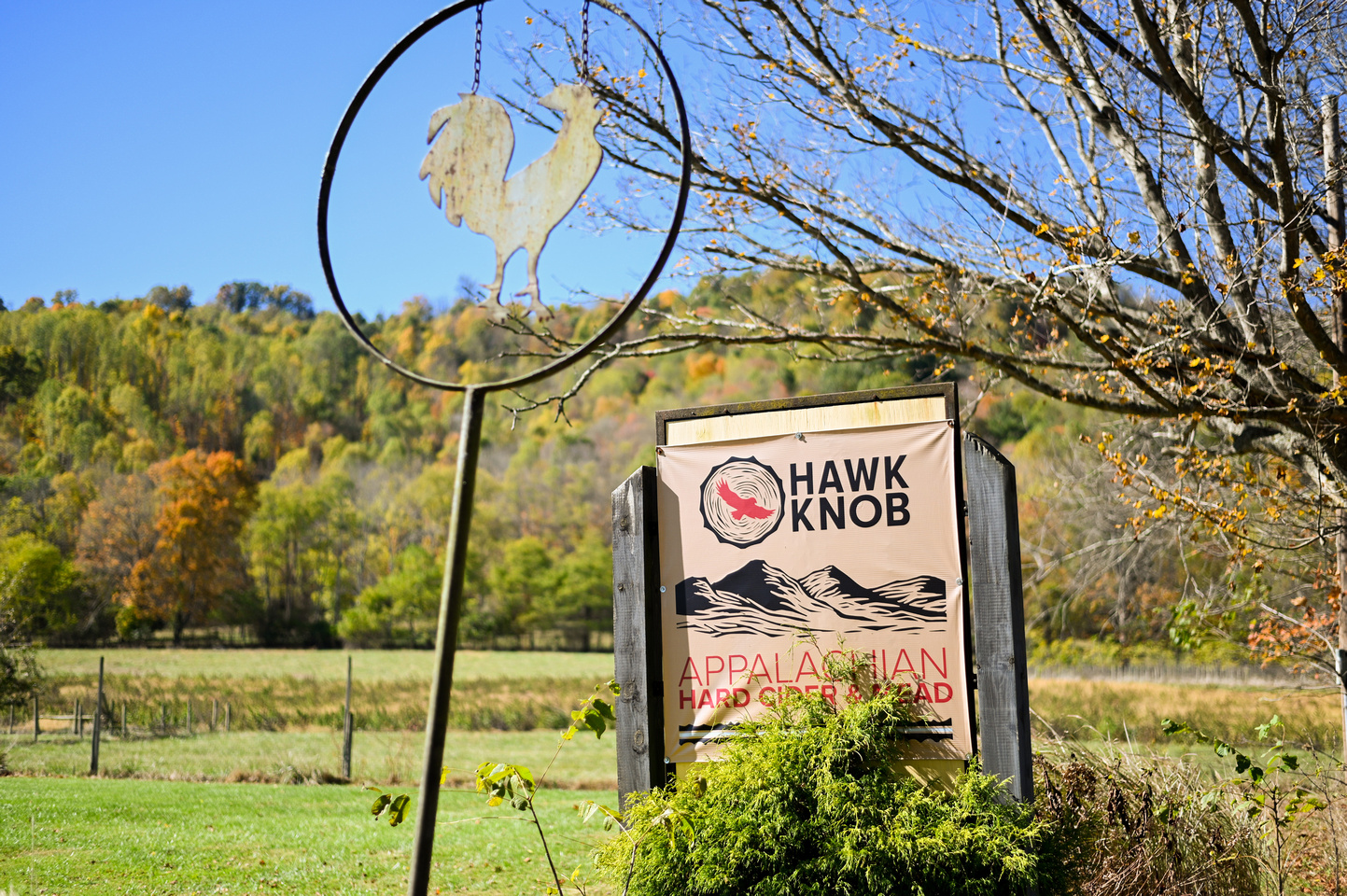 Hawk Knob owner turns lifelong passion into successful agribusiness
